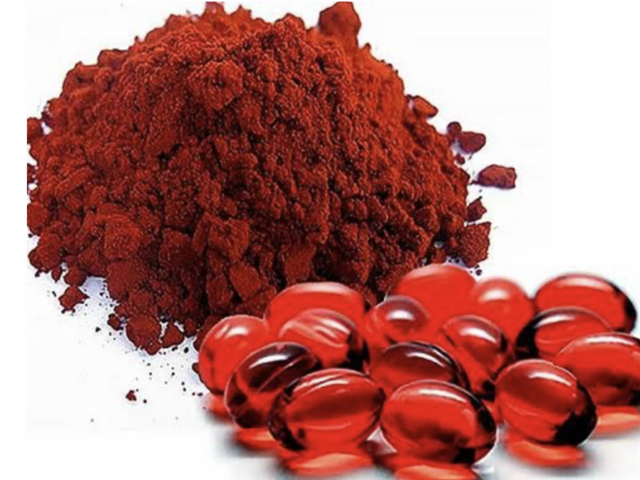 セミナー講師等