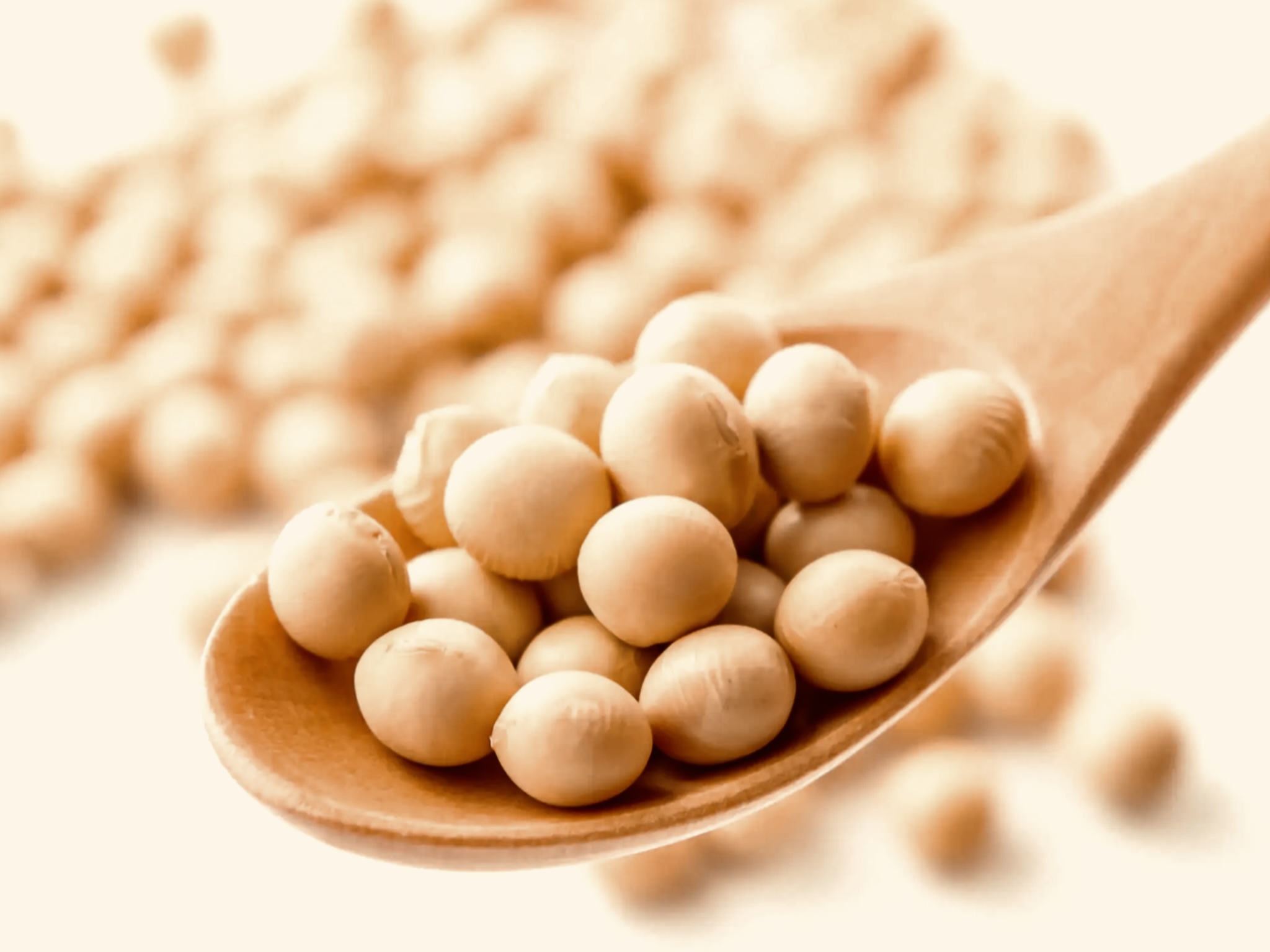 植物性非必須アミノ酸　アルギニンの活用